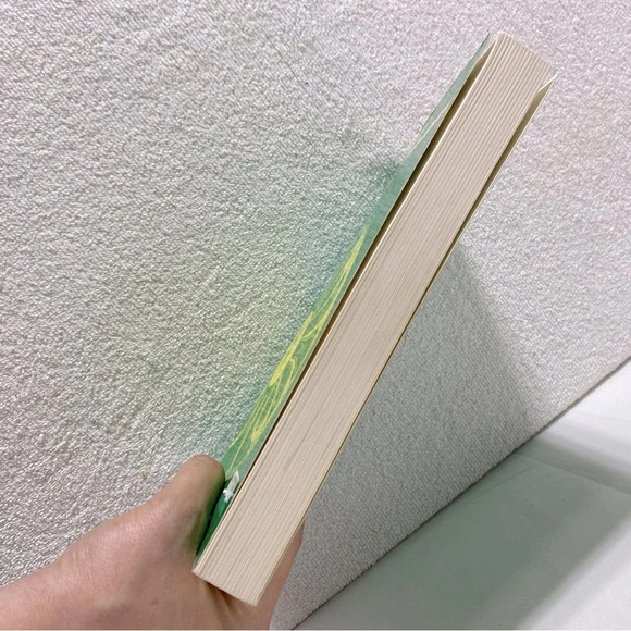 Vintage Essential Principles Of Physics Text Book - Picture 4 of 8